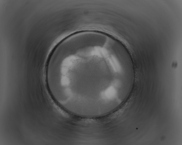 X0000095521517200801041211