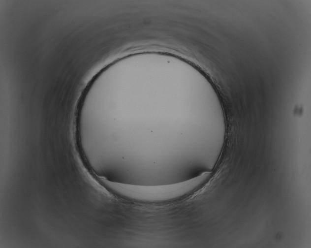 X0000095521518200801041211