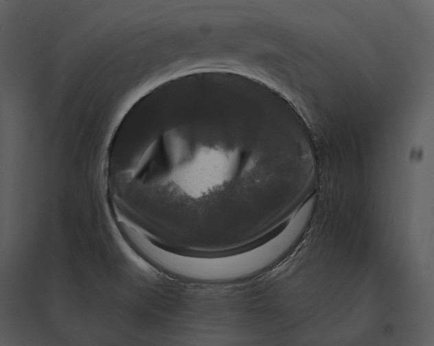 X0000095521519200801041211