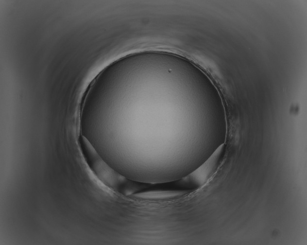 X0000095521520200801041211