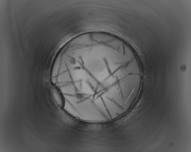 X0000095521521200801041211