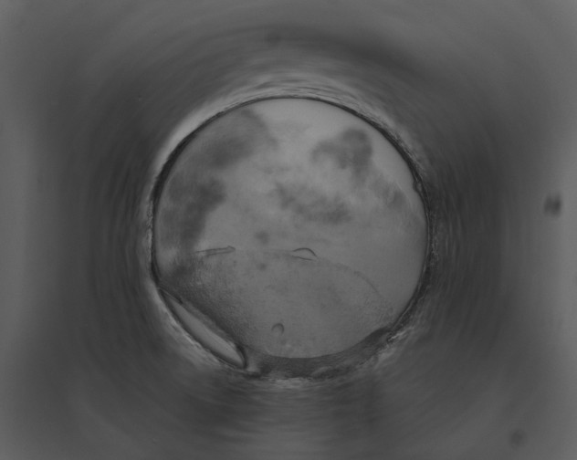 X0000095521522200801041211