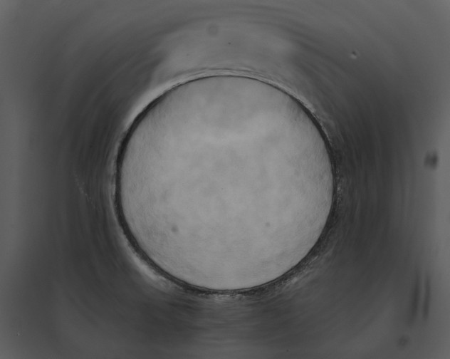 X0000095521523200801041211