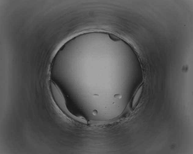 X0000095521524200801041211