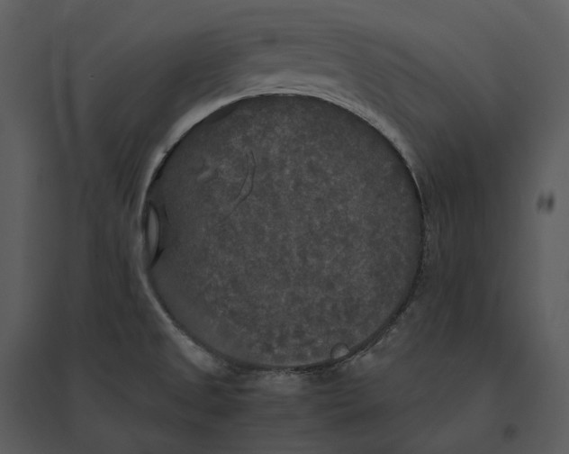 X0000095521525200801041211