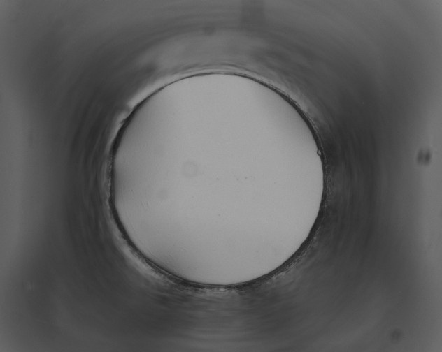 X0000095521526200801041211