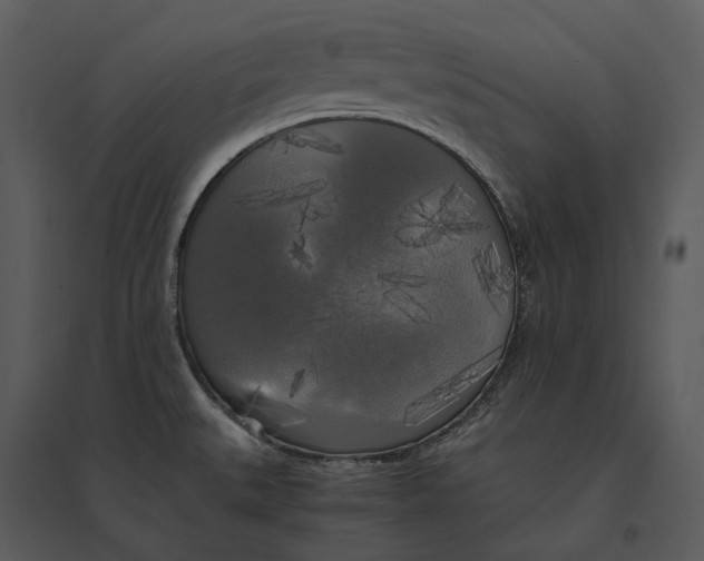 X0000095521527200801041211