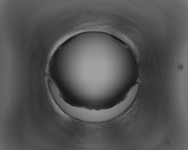 X0000095521528200801041211