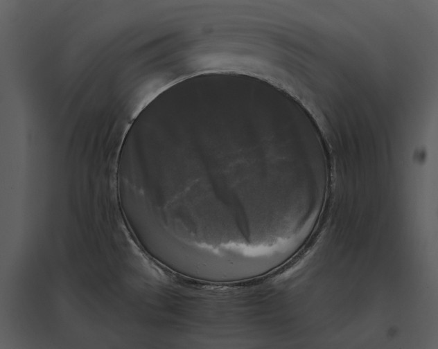 X0000095521529200801041211