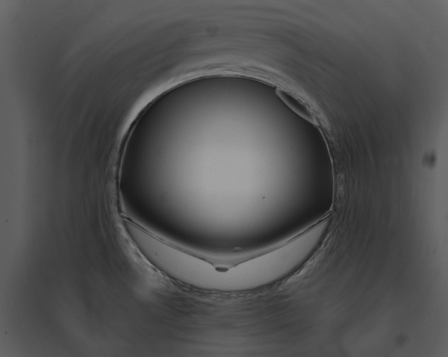 X0000095521530200801041211