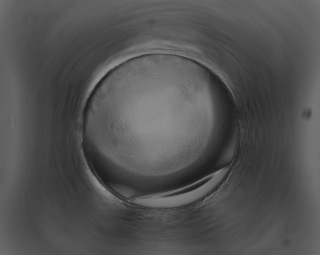 X0000095521531200801041211