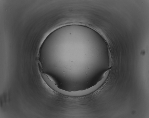 X0000095521532200801041211