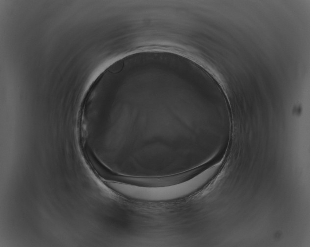 X0000095521533200801041211