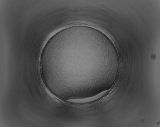 X0000095521535200801041211