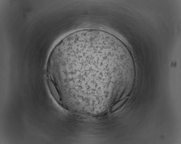 X0000095521536200801041211