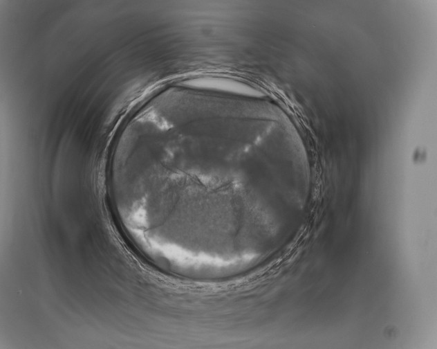 X0000095520002200801111447