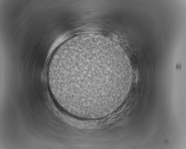 X0000095520004200801111447