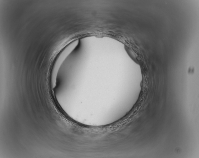 X0000095520005200801111447