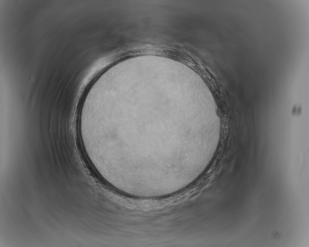X0000095520006200801111447