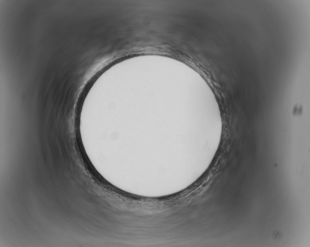 X0000095520008200801111447