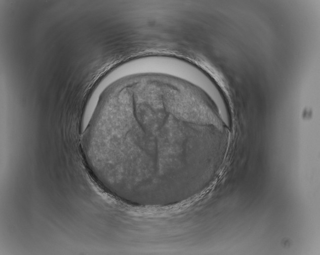 X0000095520009200801111447