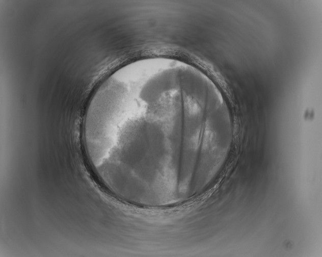 X0000095520010200801111447