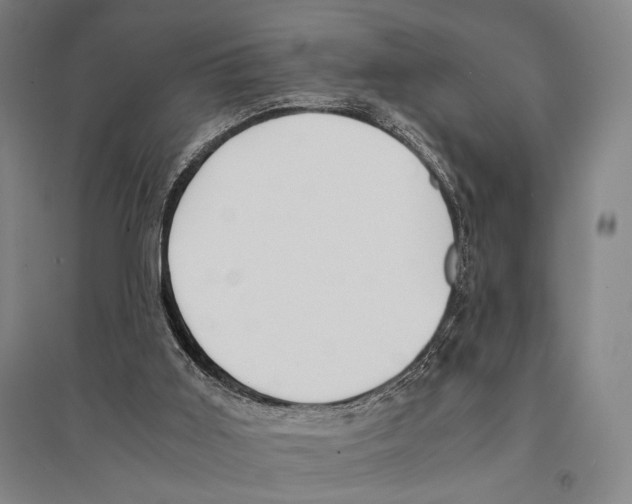 X0000095520011200801111447
