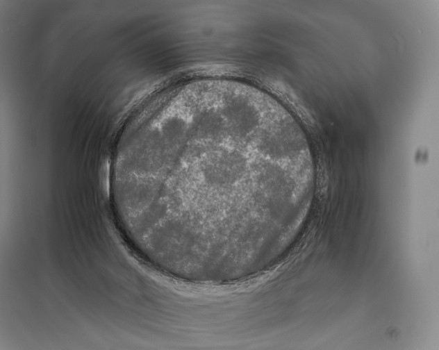 X0000095520014200801111447