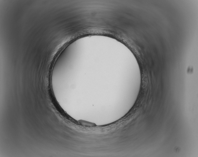 X0000095520015200801111447