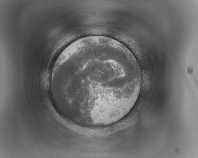X0000095520016200801111447