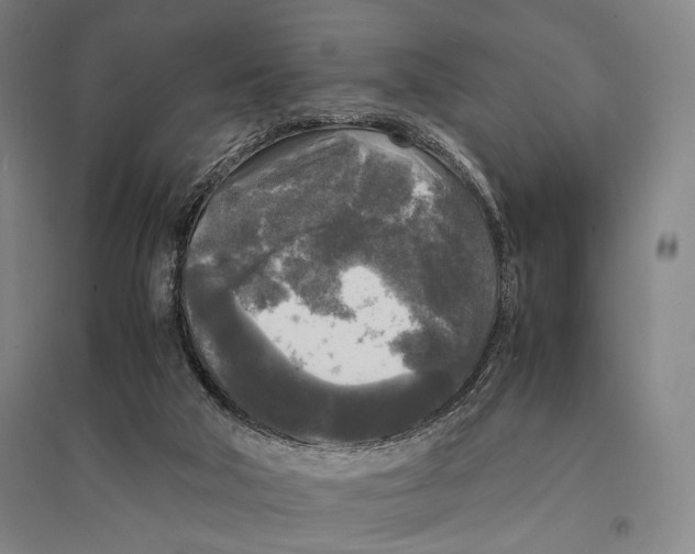 X0000095520018200801111447