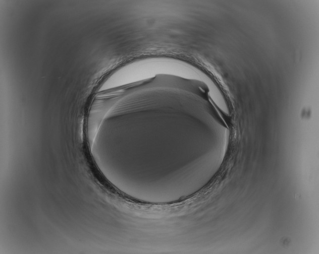 X0000095520019200801111447