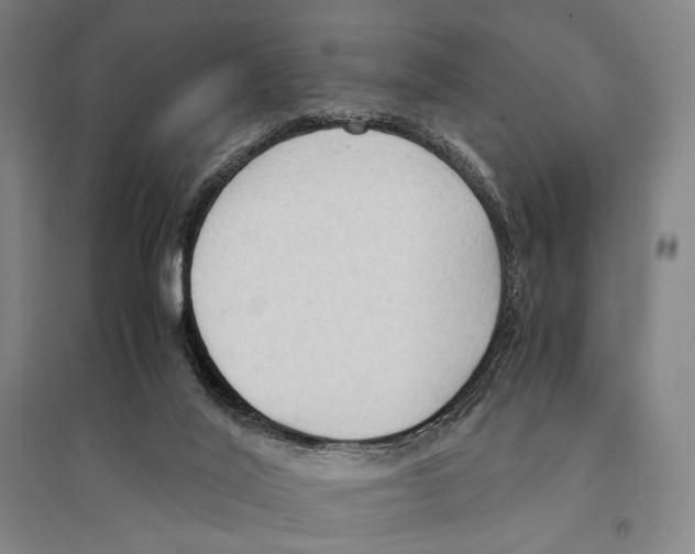 X0000095520020200801111447