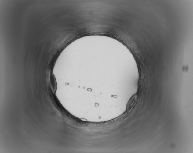 X0000095520021200801111447