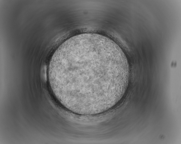 X0000095520022200801111446