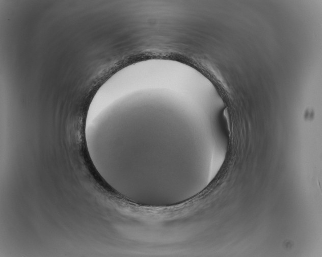 X0000095520023200801111446