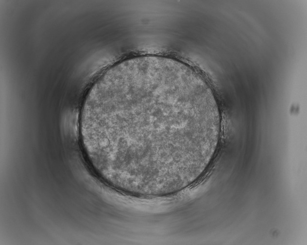 X0000095520024200801111446