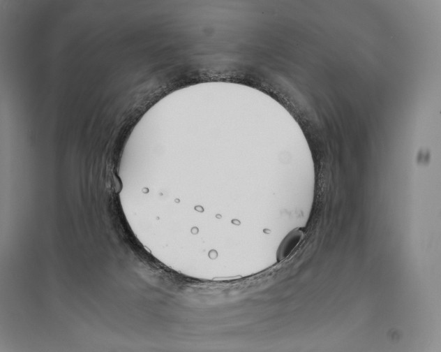 X0000095520025200801111446