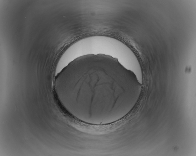 X0000095520027200801111446