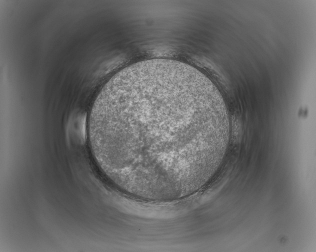 X0000095520028200801111446