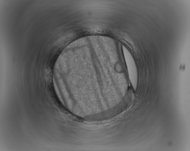 X0000095520029200801111446