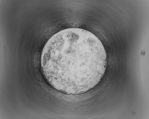 X0000095520030200801111446