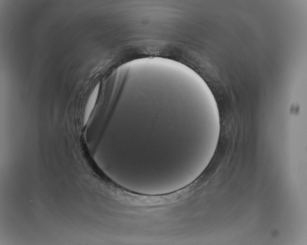 X0000095520031200801111446