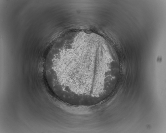 X0000095520032200801111446