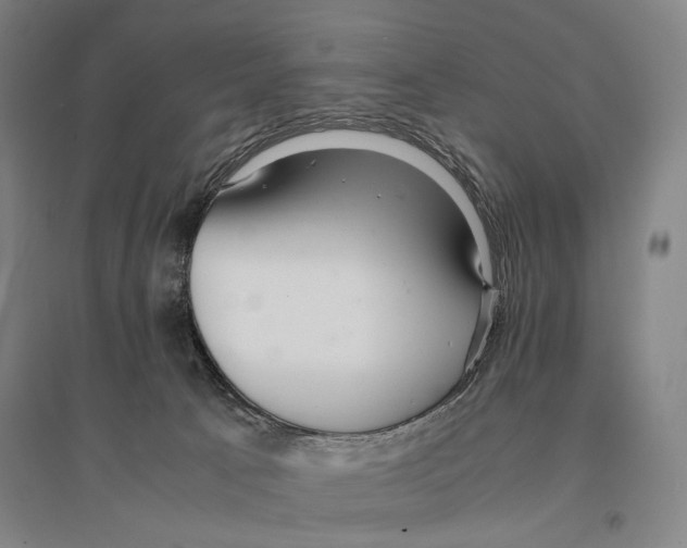X0000095520033200801111446