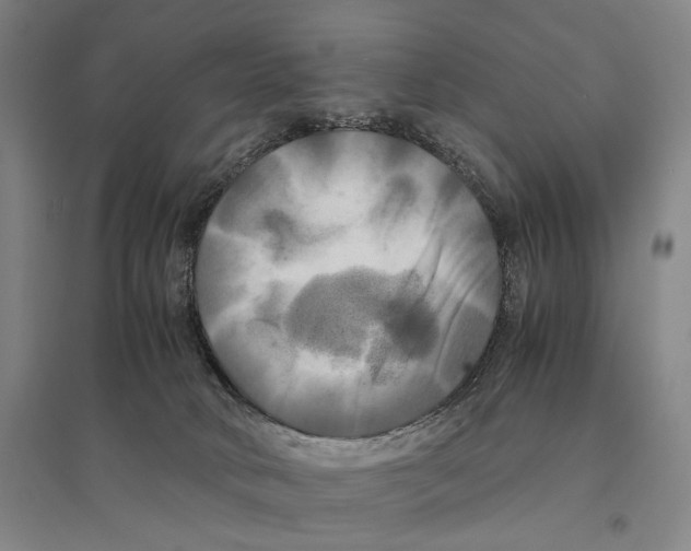 X0000095520034200801111446