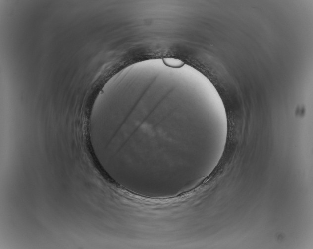 X0000095520035200801111446