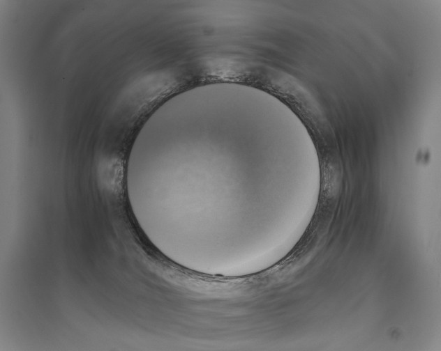 X0000095520036200801111446