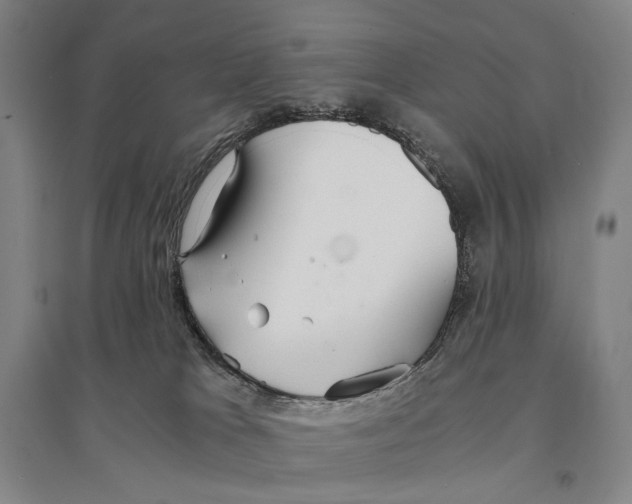 X0000095520037200801111446