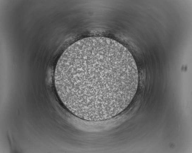 X0000095520038200801111446